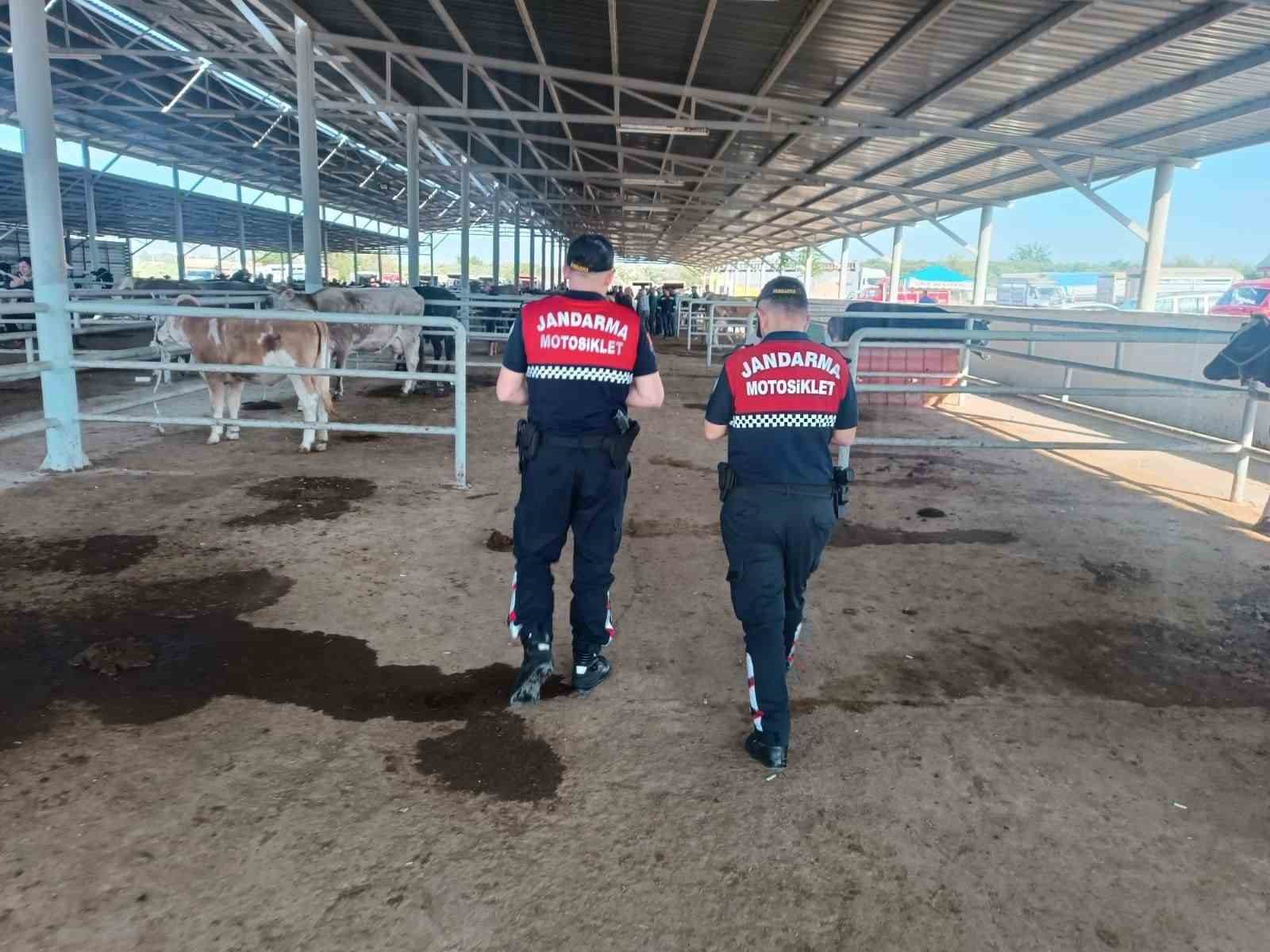 Kurban Bayramı &ouml;ncesi jandarmadan vatandaşa dolandırıcılık uyarısı
