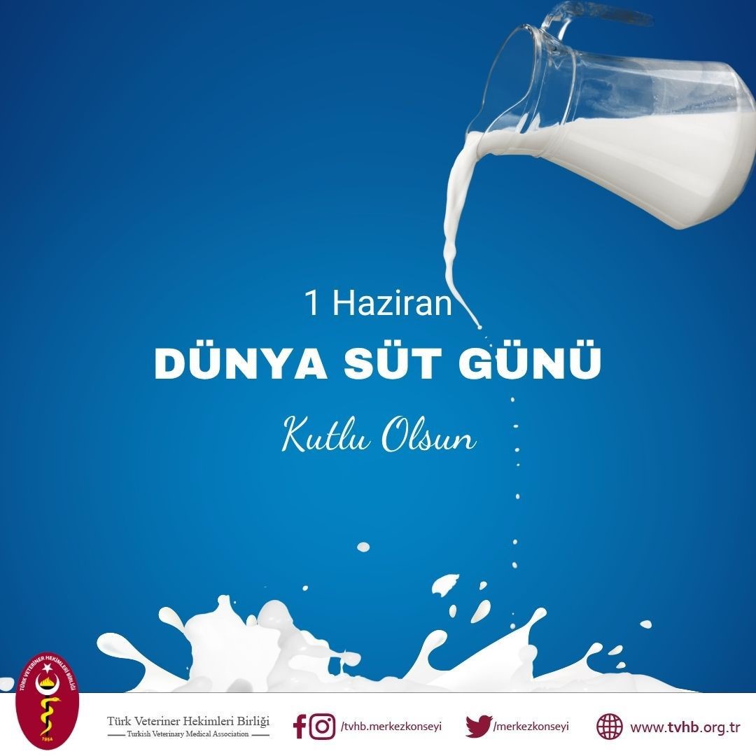 TVHB Merkez Konseyi Başkanı Eroğlu: "Ülkemizde sütün toplanması ve süt kalitesinde istenilen noktada olmadığımız söylenebilir"