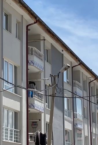 İpe takılarak mahsur kalan kuş, itfaiye ekiplerince kurtarıldı
