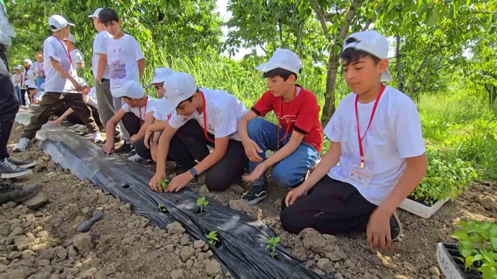 Bingöl’de TÜBİTAK 4004 başarısı