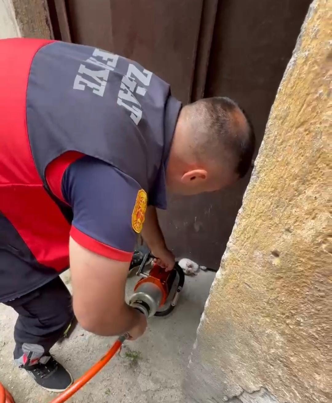 Farklı noktalarda mahsur kalan kedilere itfaiyeden yardım eli