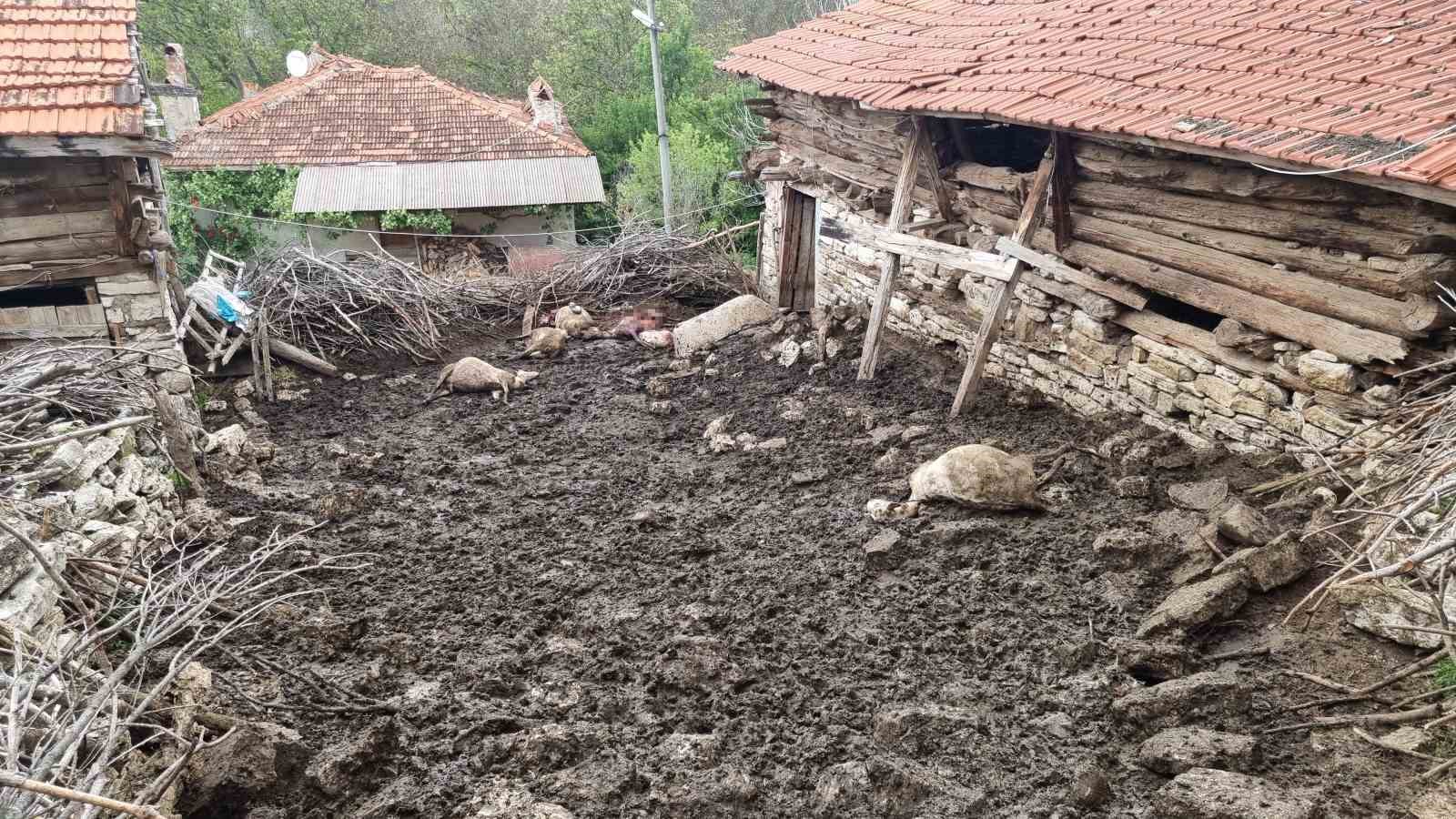 K&uuml;tahya&rsquo;da kurtların saldırısında 11 koyun telef oldu
