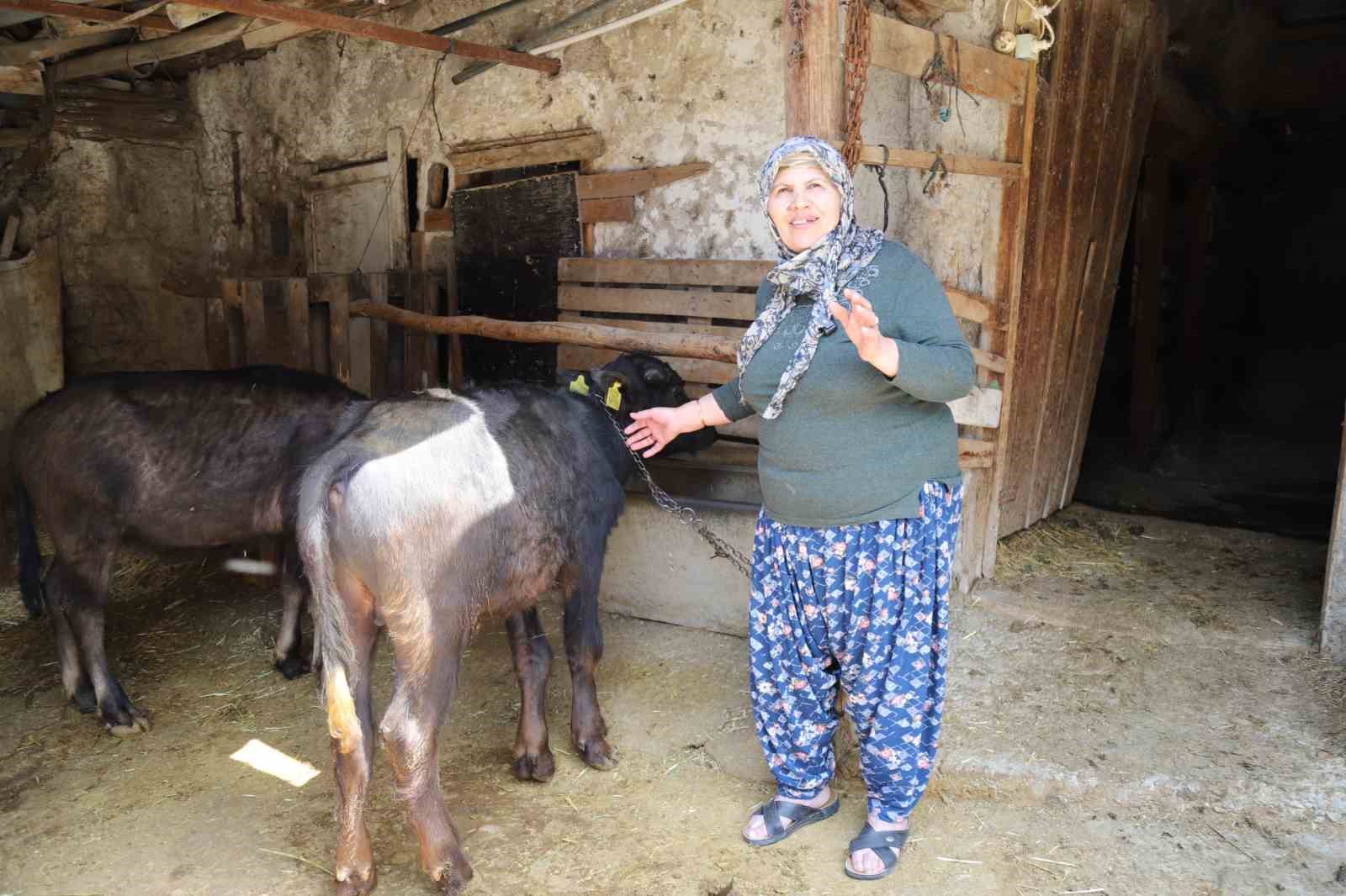 Büyükşehir destekledi üretici kazandı