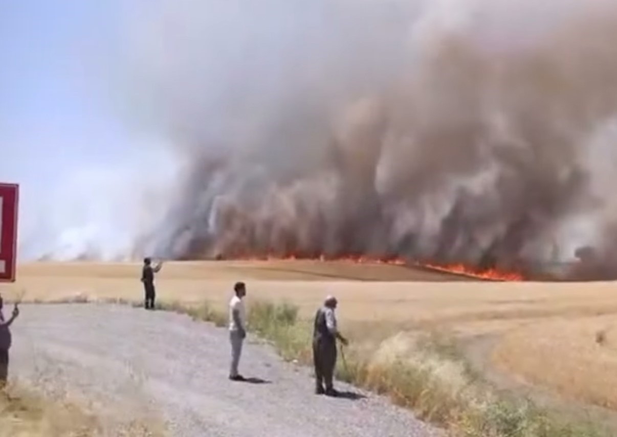 Diyarbakır’da bin dönümden fazla biçilmemiş buğday ve arpa yangında kül oldu