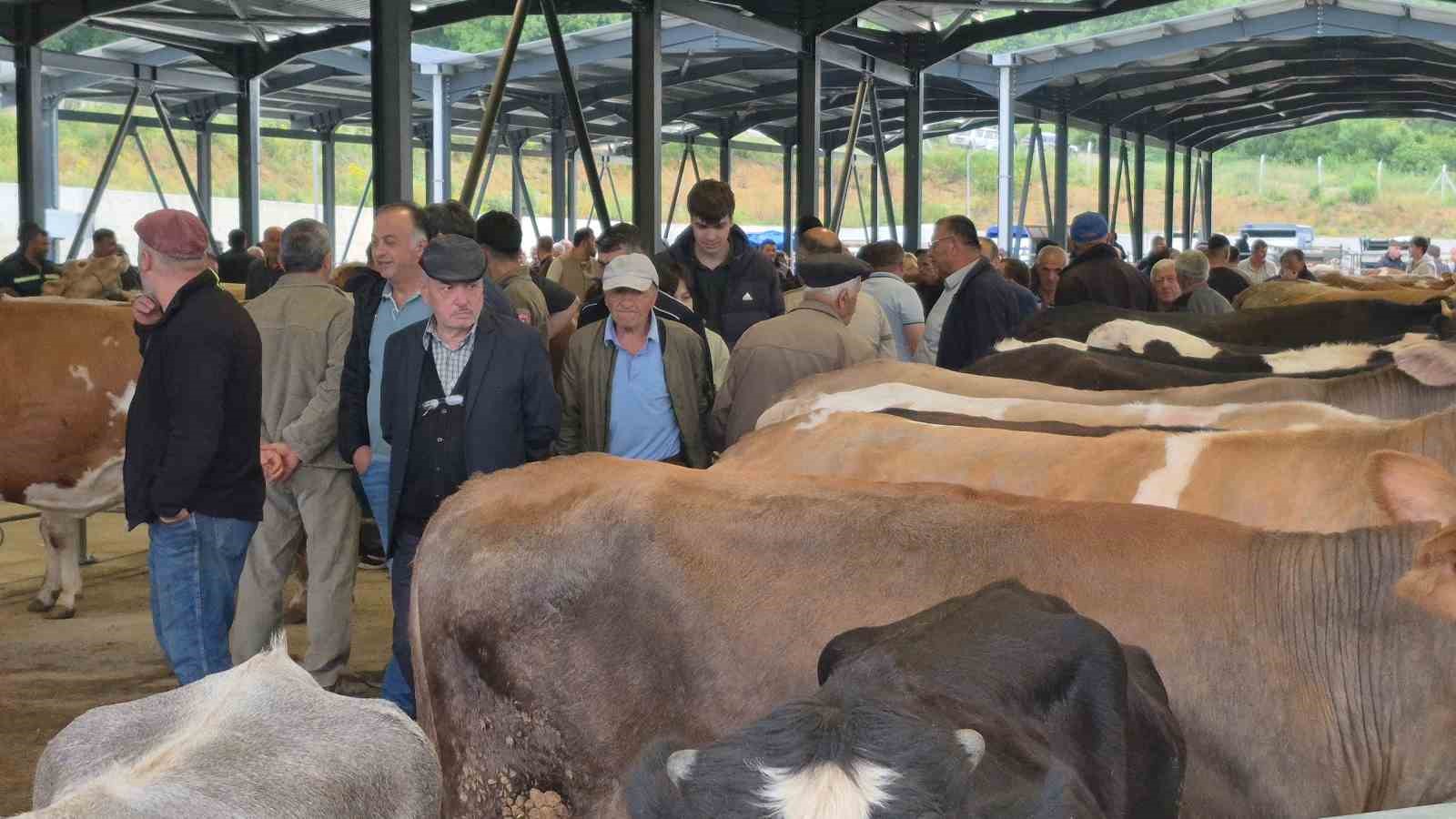 Bayrama sayılı günler kala kurban pazarları hareketlendi