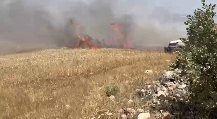 Mardin’de ekili arazide çıkan yangın söndürüldü
