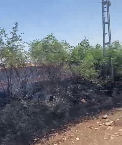 Ekin yangını korkuttu
