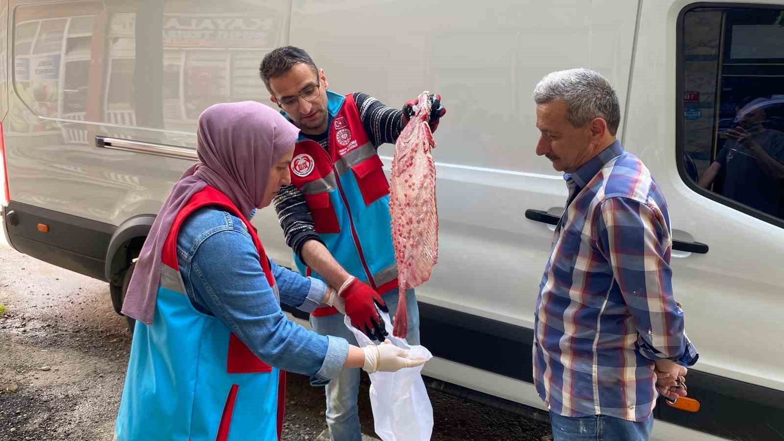 Türkeli’de kaçak avlanan 363 kalkan balığı vatandaşa dağıtıldı