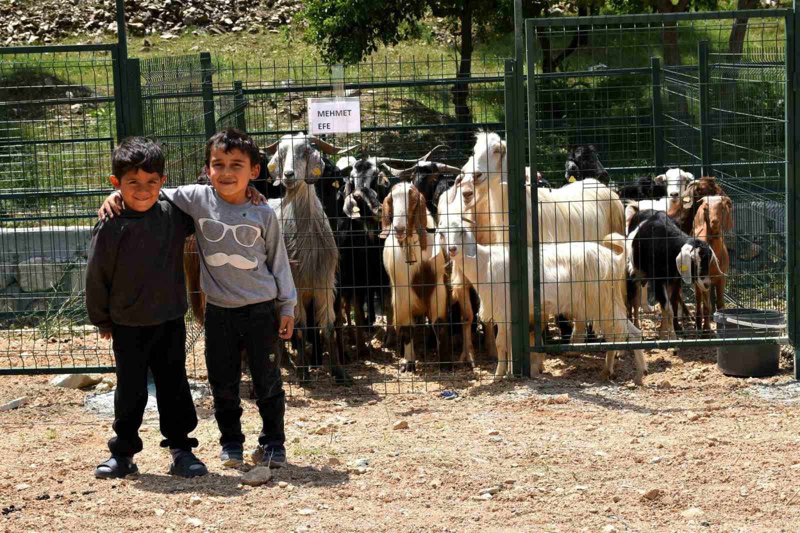 Başkan Durgut&rsquo;tan hayvan pazarında Kurban Bayramı &ouml;ncesi inceleme
