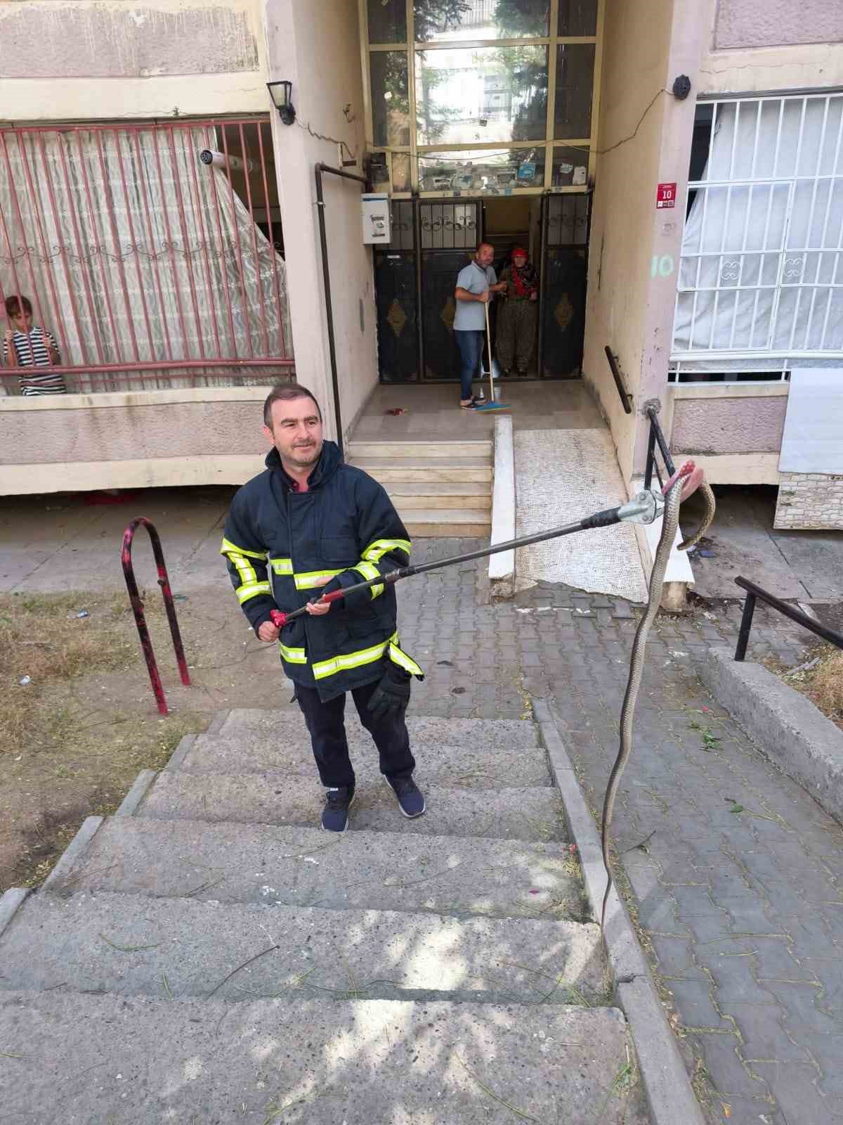 Batman’da bina girişinde bulunan yılan doğal yaşam alanına bırakıldı