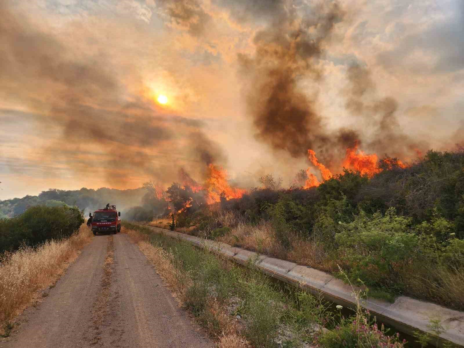 Çanakkale’de otluk alanda yangın