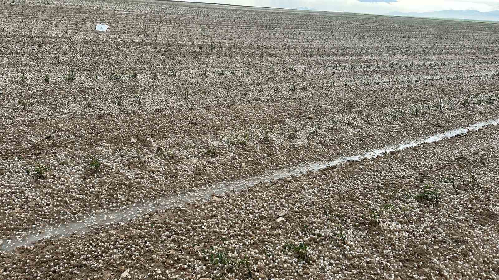 Aksaray’da sağanak ve dolu tarım arazilerini vurdu