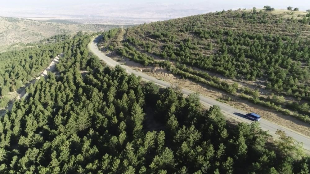 Valilikten yangın tedbiri: 5 ay boyunca ormanlara giriş yasak