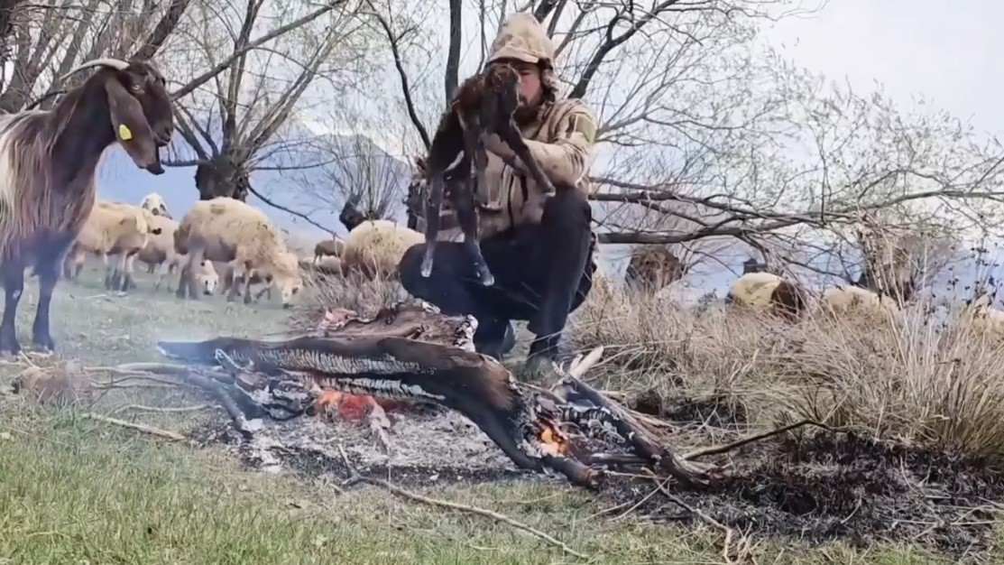 Doluya yakalanan s&uuml;r&uuml;de ıslanan oğlağı ateş yakarak ısıttı
