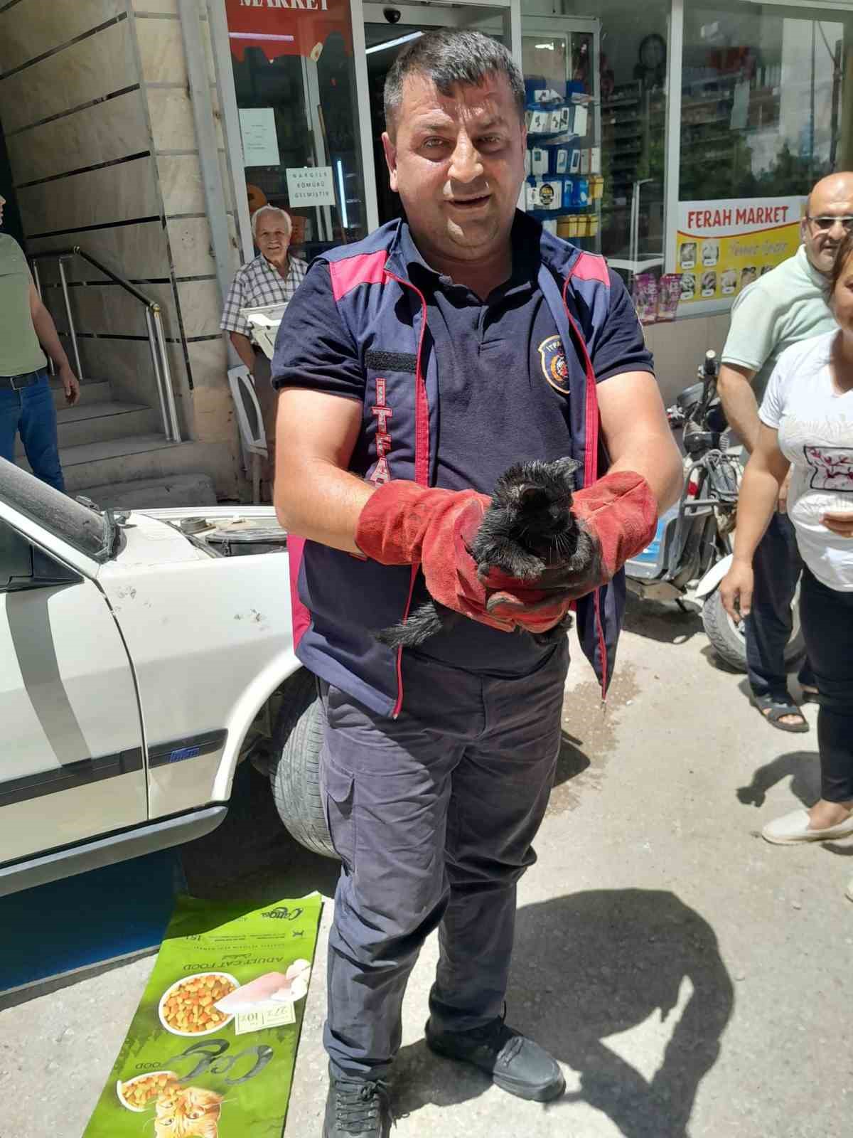 Aracın motoruna giren yavru kediyi itfaiye kurtardı