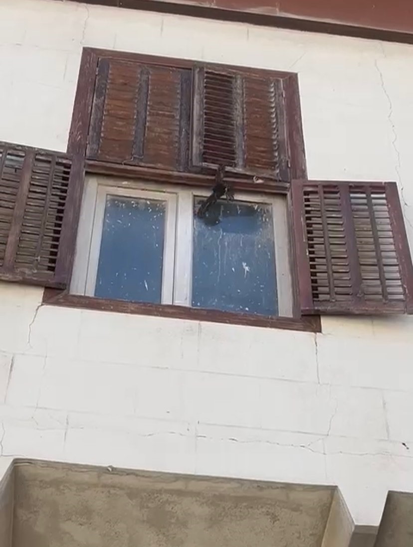 Ayağına ip dolanan kırlangıca itfaiyeden m&uuml;dahale
