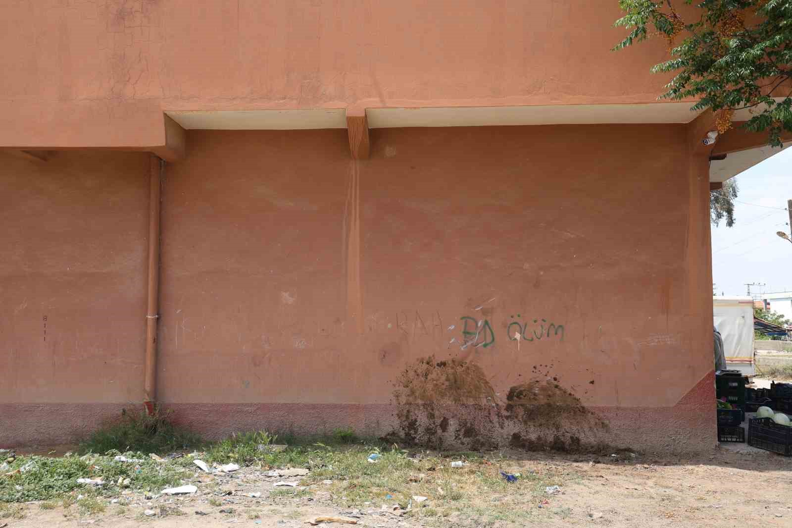 Duvara toslayan at telef oldu