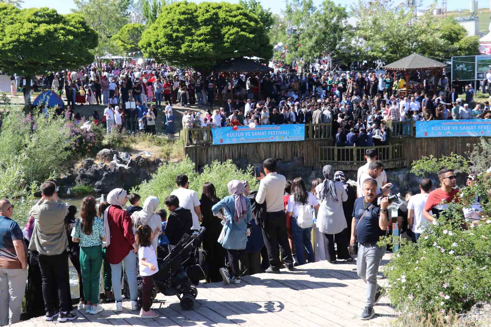 İnci kefalinin hayat mücadelesi objektiflere yansıdı
