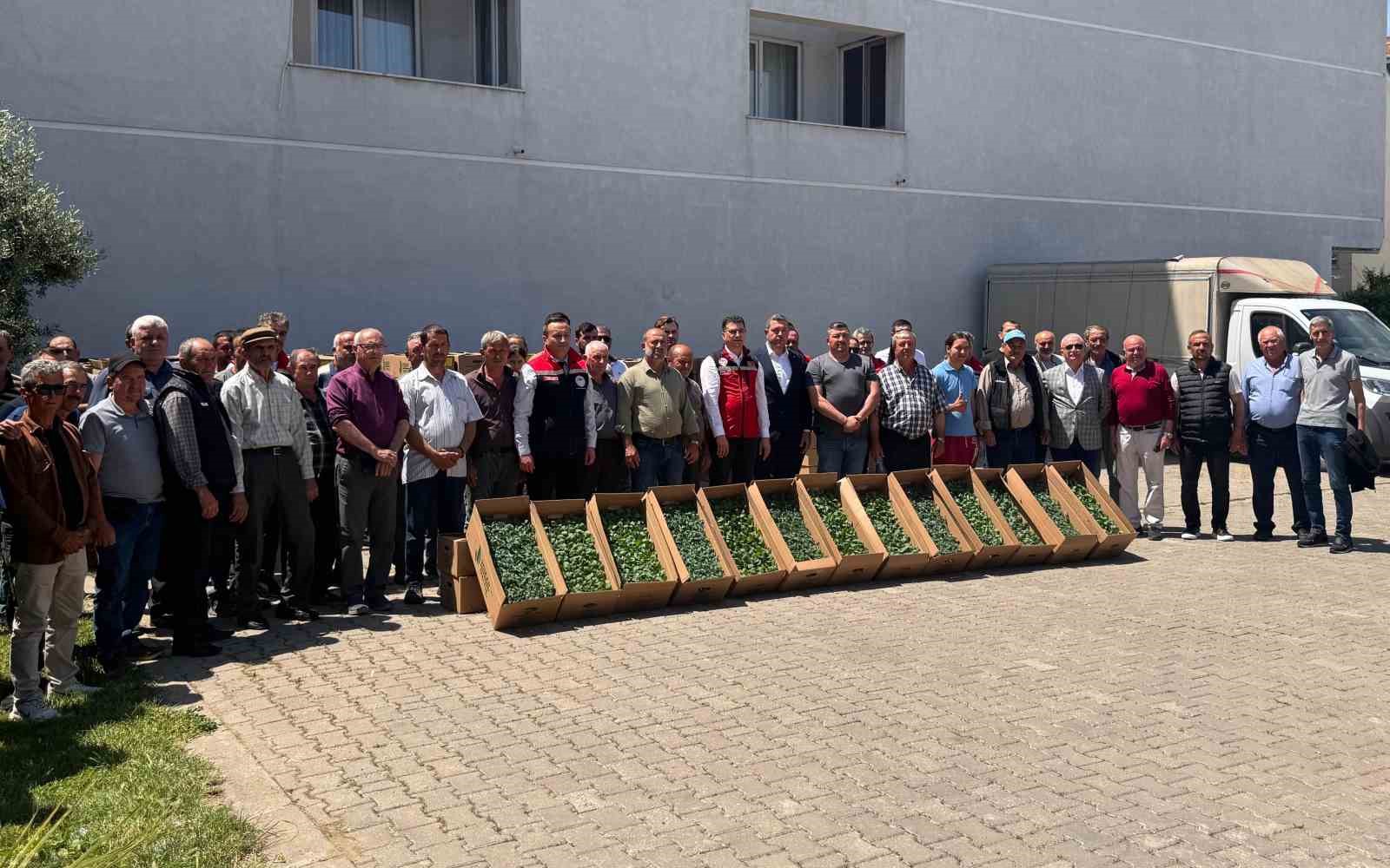 Tekirdağ’da 314 üreticiye 283 bin sebze fidesi dağıtıldı