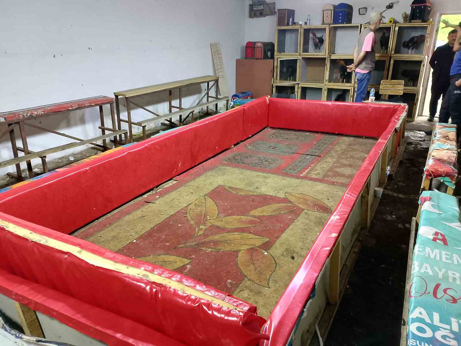 Samsun’da horoz dövüşüne polis baskını: 129 bin 458 lira para cezası