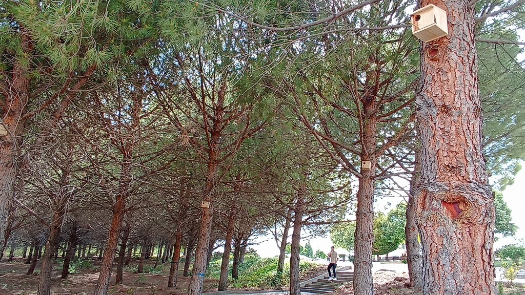 Gediz MYO Kampüsüne kuş yuvaları yerleştirildi