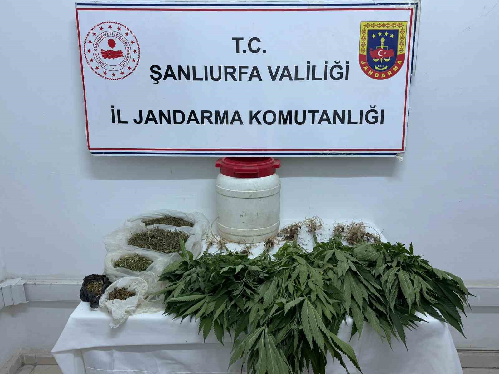 Suruç’ta uyuşturucu ele geçirildi