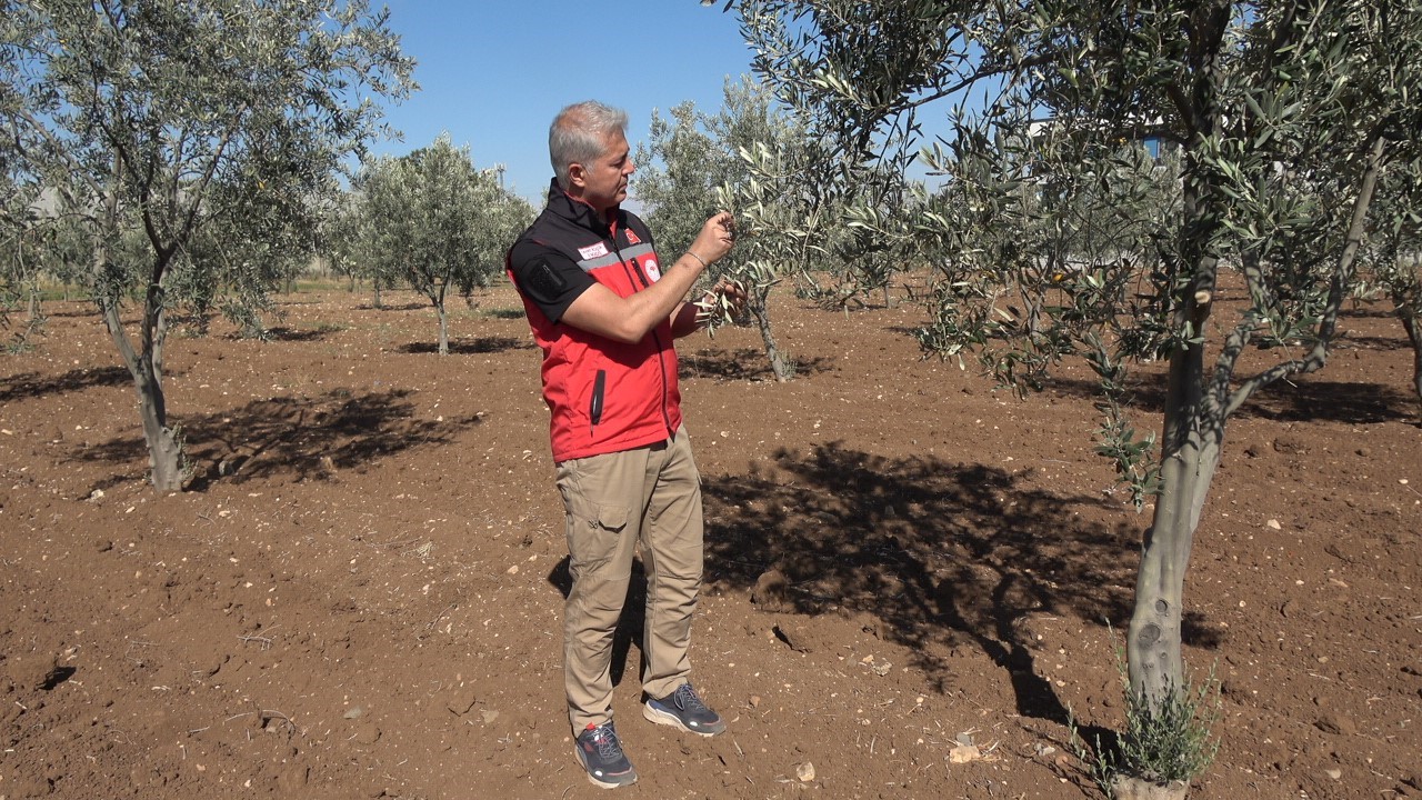 Kilis&rsquo;te tarımsal sulama yatırımları artıyor

