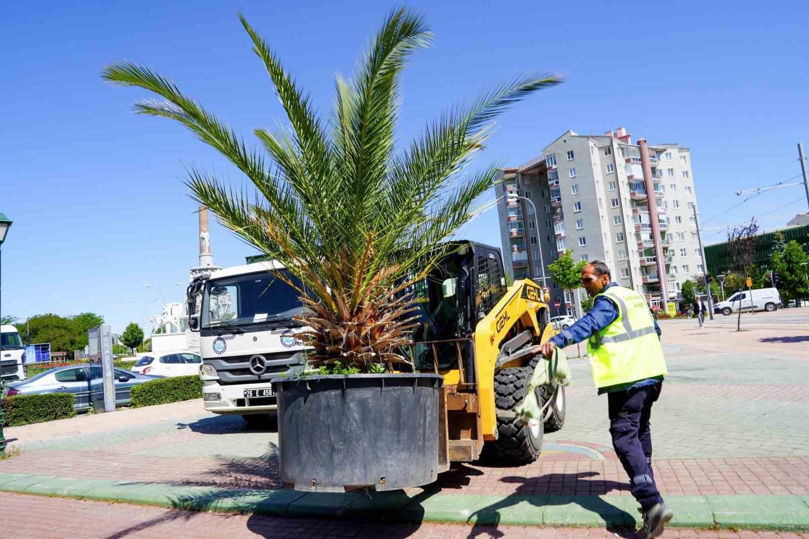 K&ouml;pr&uuml;başı palmiyeler ve zakkumlarla s&uuml;slendi
