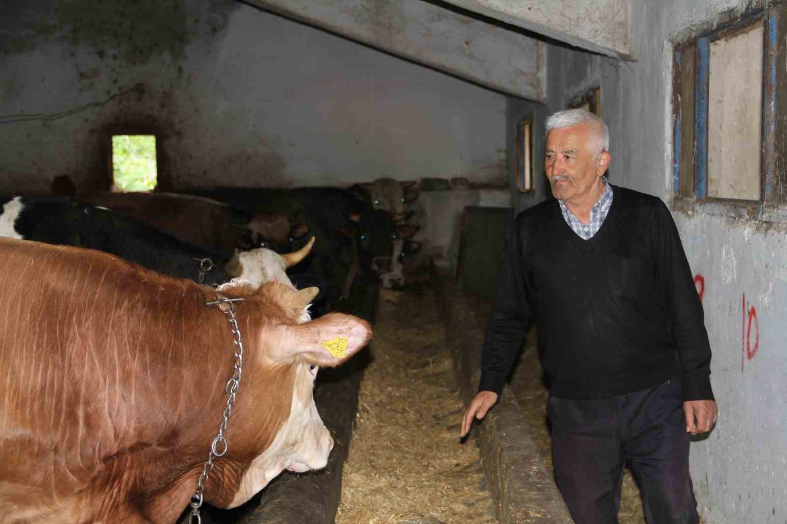 Başkentliler kurbanlık alımında fiyatların daha d&uuml;ş&uuml;k olduğu &Ccedil;ankırı&rsquo;yı tercih ediyor
