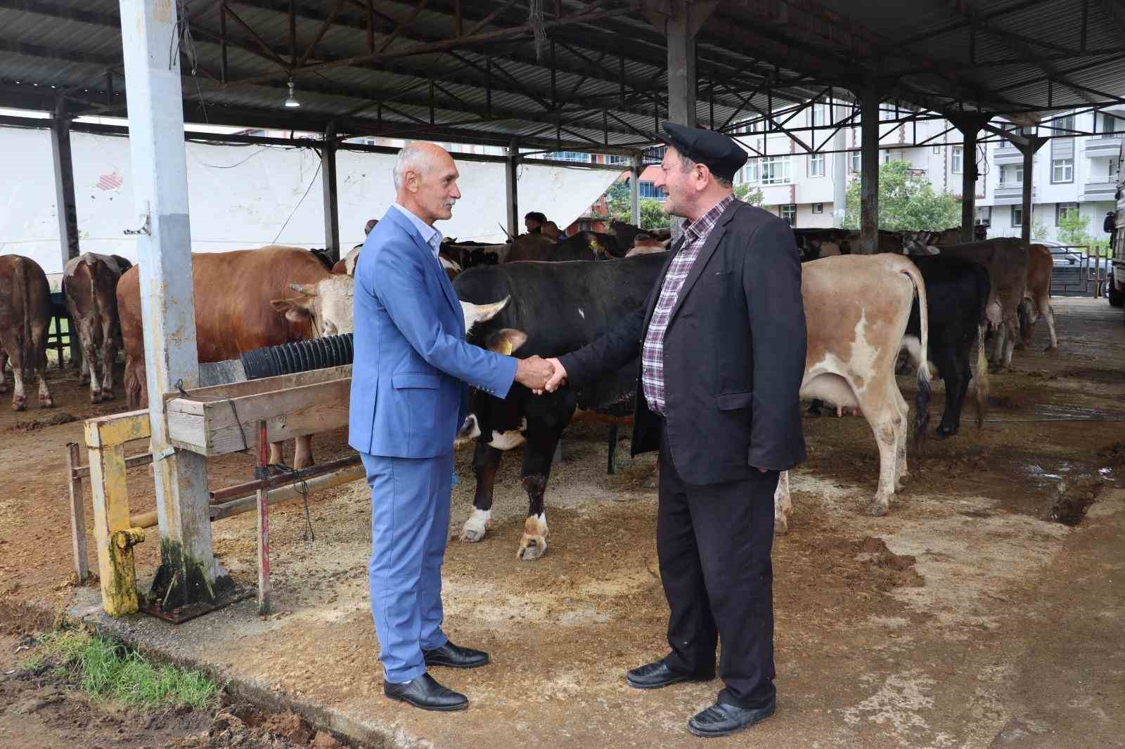 Ordu Büyükşehir, Kurban Bayramı hazırlıklarını tamamladı