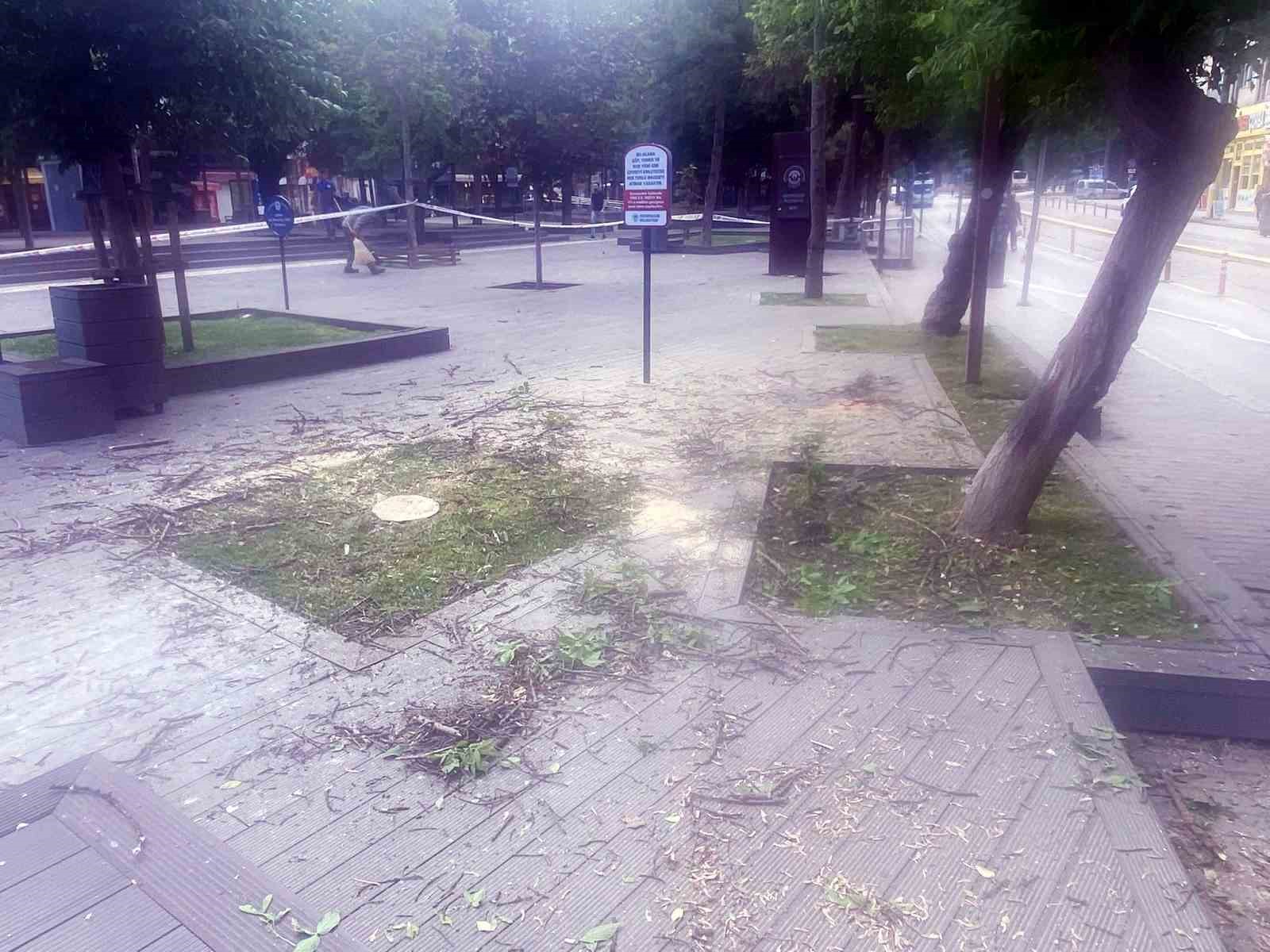 Başkan Vural’dan Hamamyolu’ndaki ağaç kesimine tepki