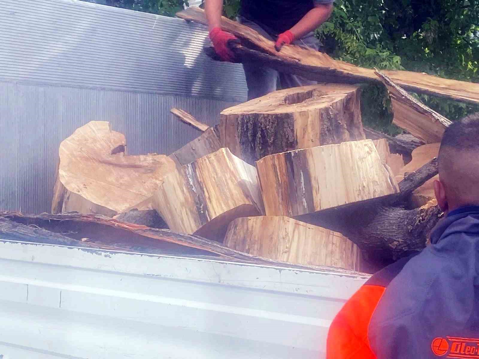 Başkan Vural&rsquo;dan Hamamyolu&rsquo;ndaki ağa&ccedil; kesimine tepki
