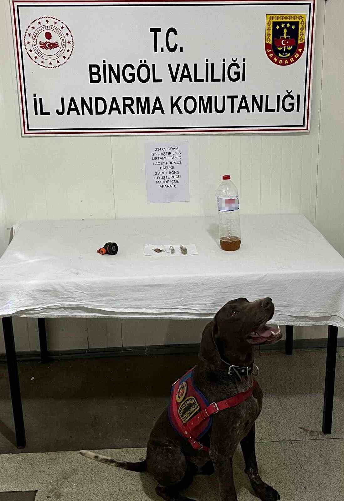 Bing&ouml;l&rsquo;de 2 bin 900 k&ouml;k kenevir ele ge&ccedil;irildi
