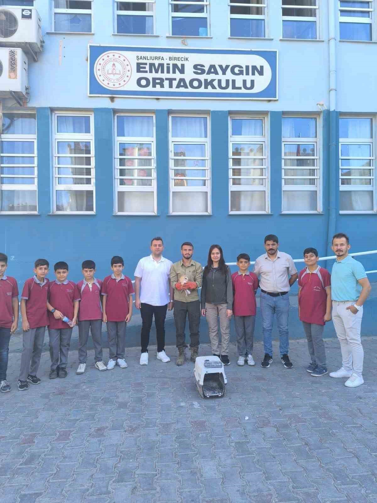 Şanlıurfa&rsquo;da bitkin halde bulunan pe&ccedil;eli baykuş tedavisinin ardından doğaya salındı
