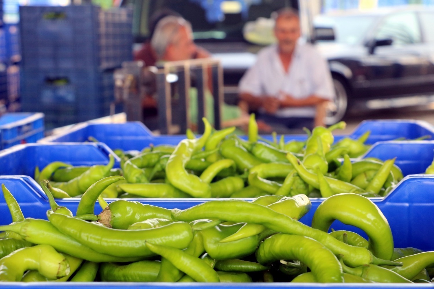 Antalya hallerinde işlem g&ouml;ren &uuml;r&uuml;nlerde miktar azaldı, fiyat arttı
