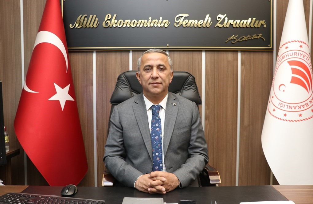 Kahverengi kokarcada mücadele zamanı