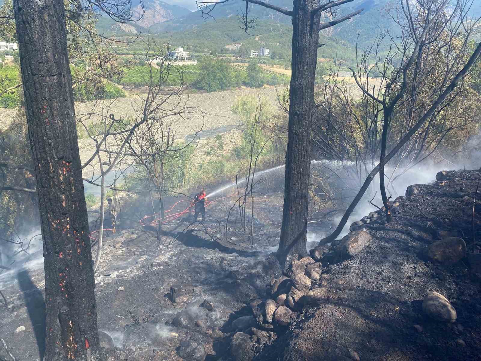 Hatay’daki orman yangını söndürüldü