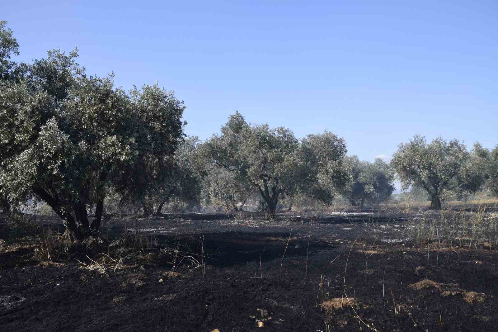 Manisa’da tarım arazisinde yangın
