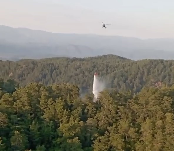 Muğla ve Aydın’daki orman yangınları büyümeden söndürüldü