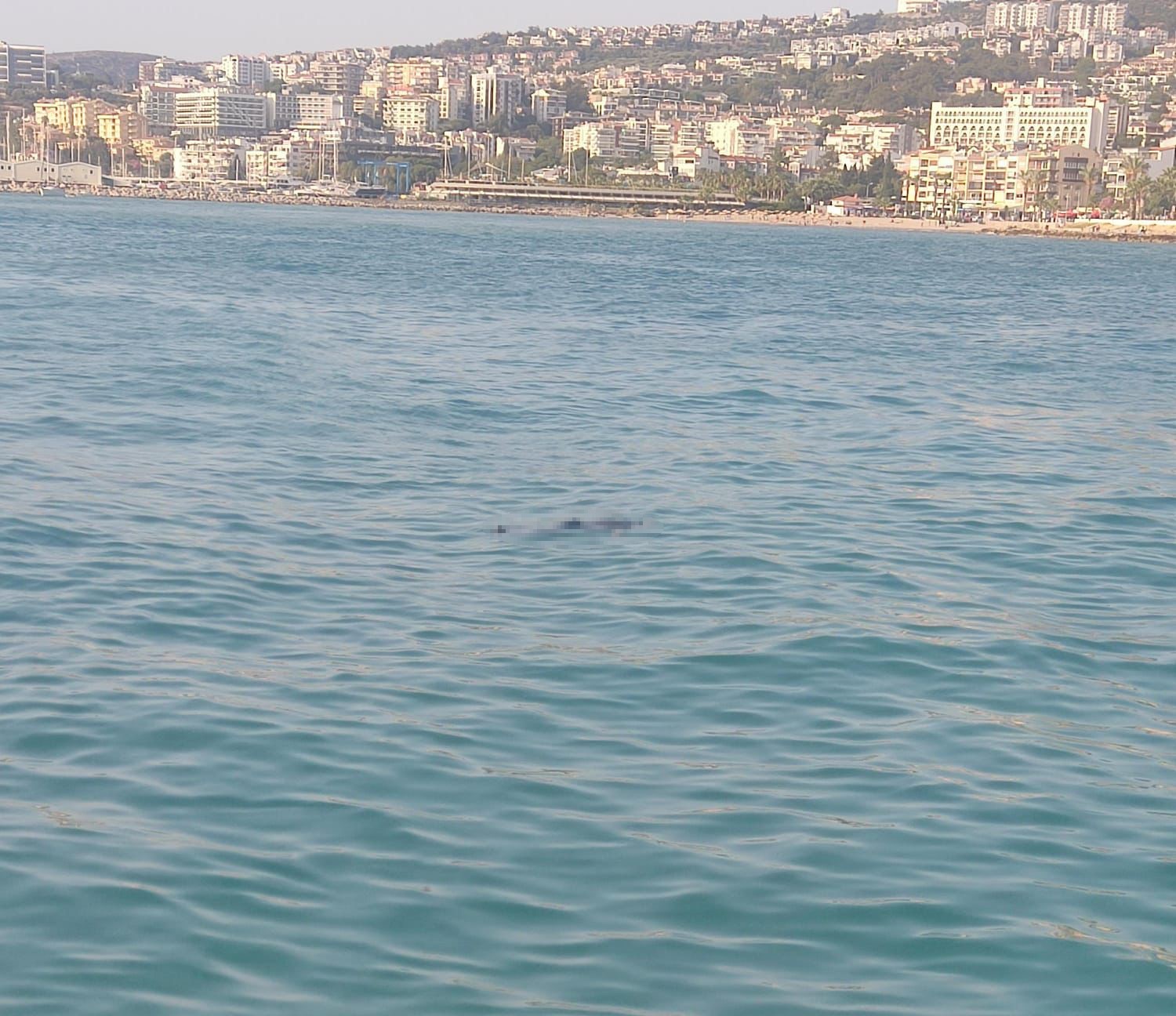 Kuşadası’nda denizde ceset bulundu