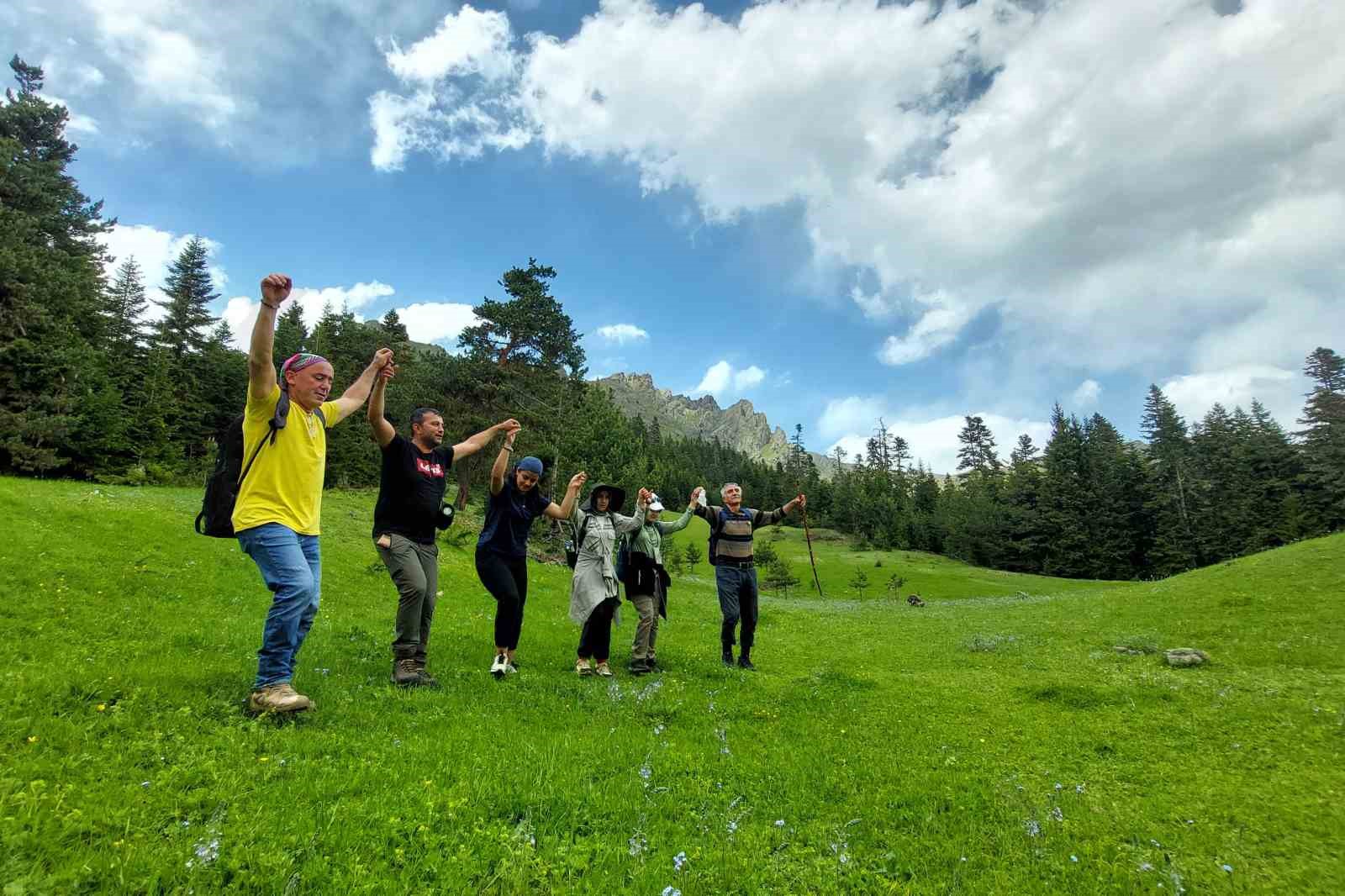 Gümüşhane yaylalarında çiçek şöleni