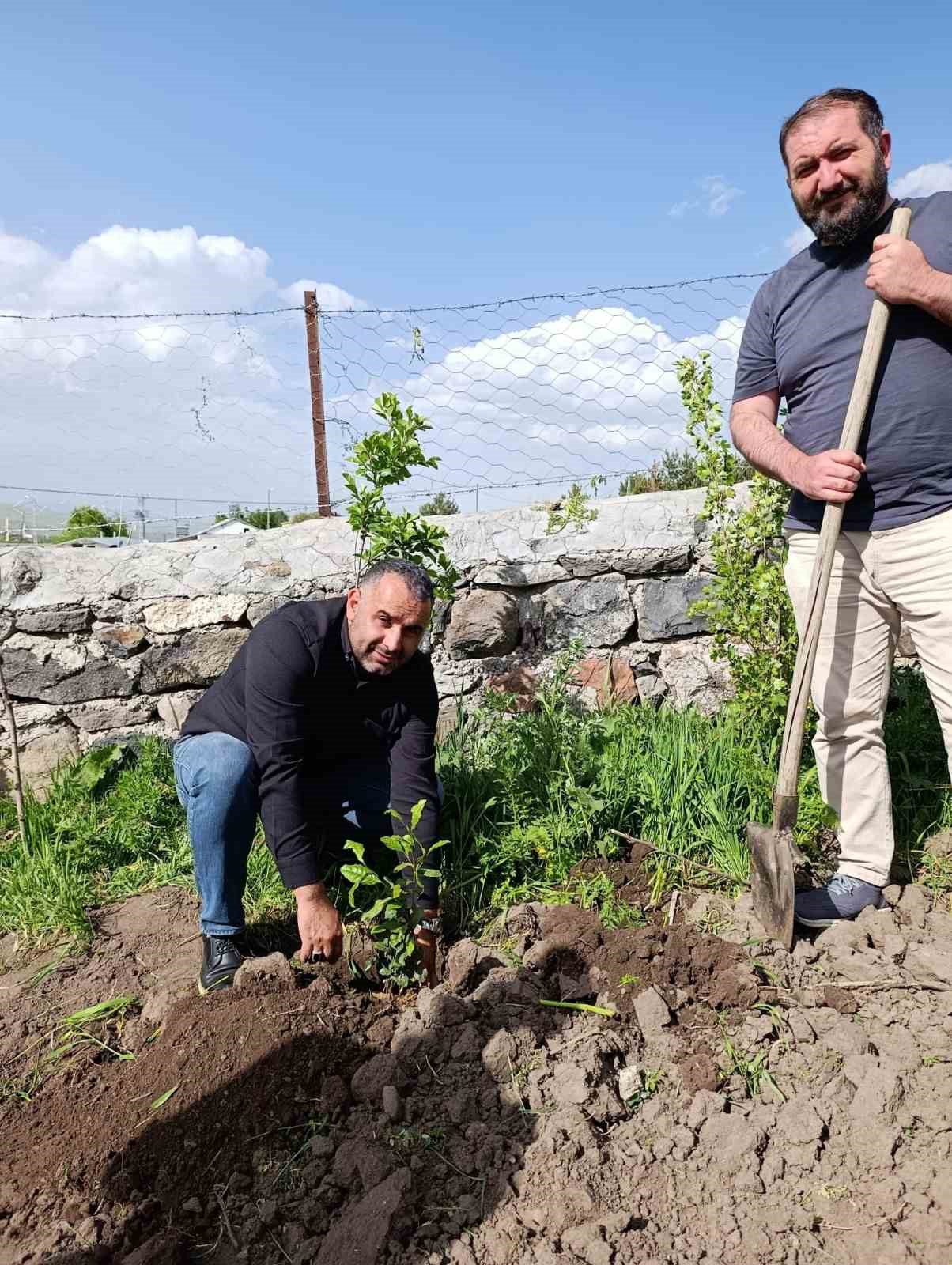 Ardahan’da bir ilk; Çay kökleri toprakla buluştu
