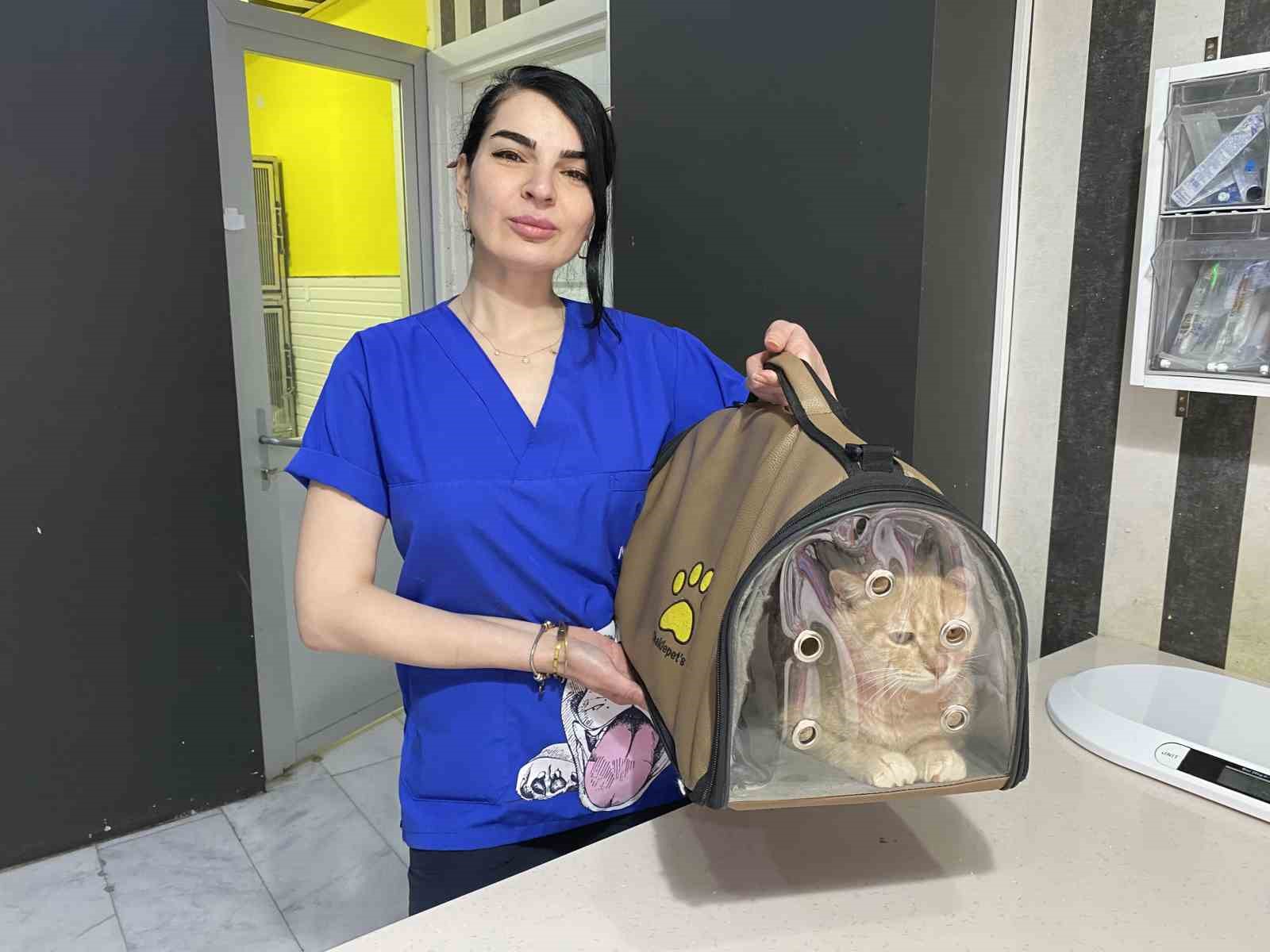 Bayramda evcil hayvan ile seyahat edecek yolcuların dikkat etmesi gerekenler
