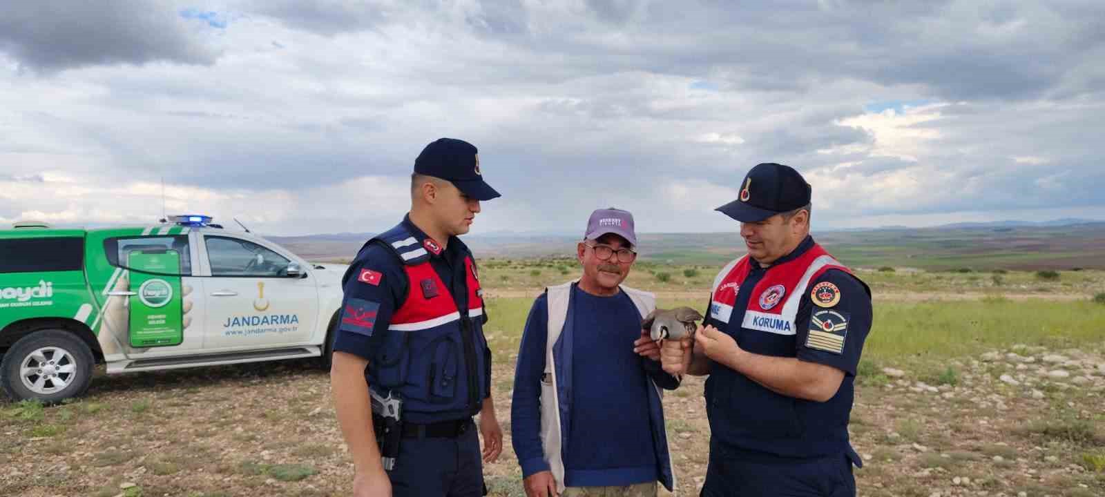 Jandarma kınalı kekliği koruma altına aldı
