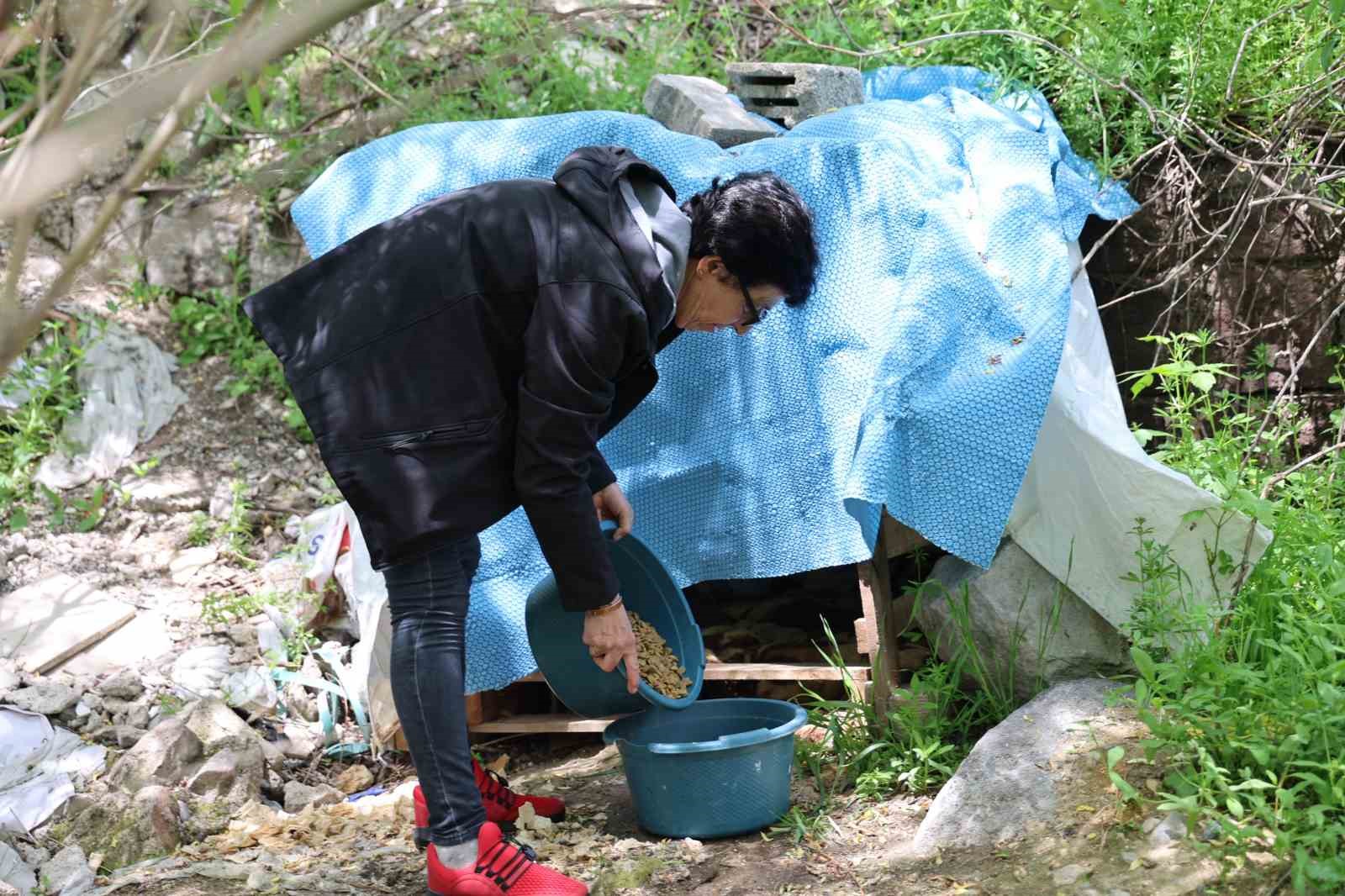30 yıldır sokak hayvanlarını besliyor
