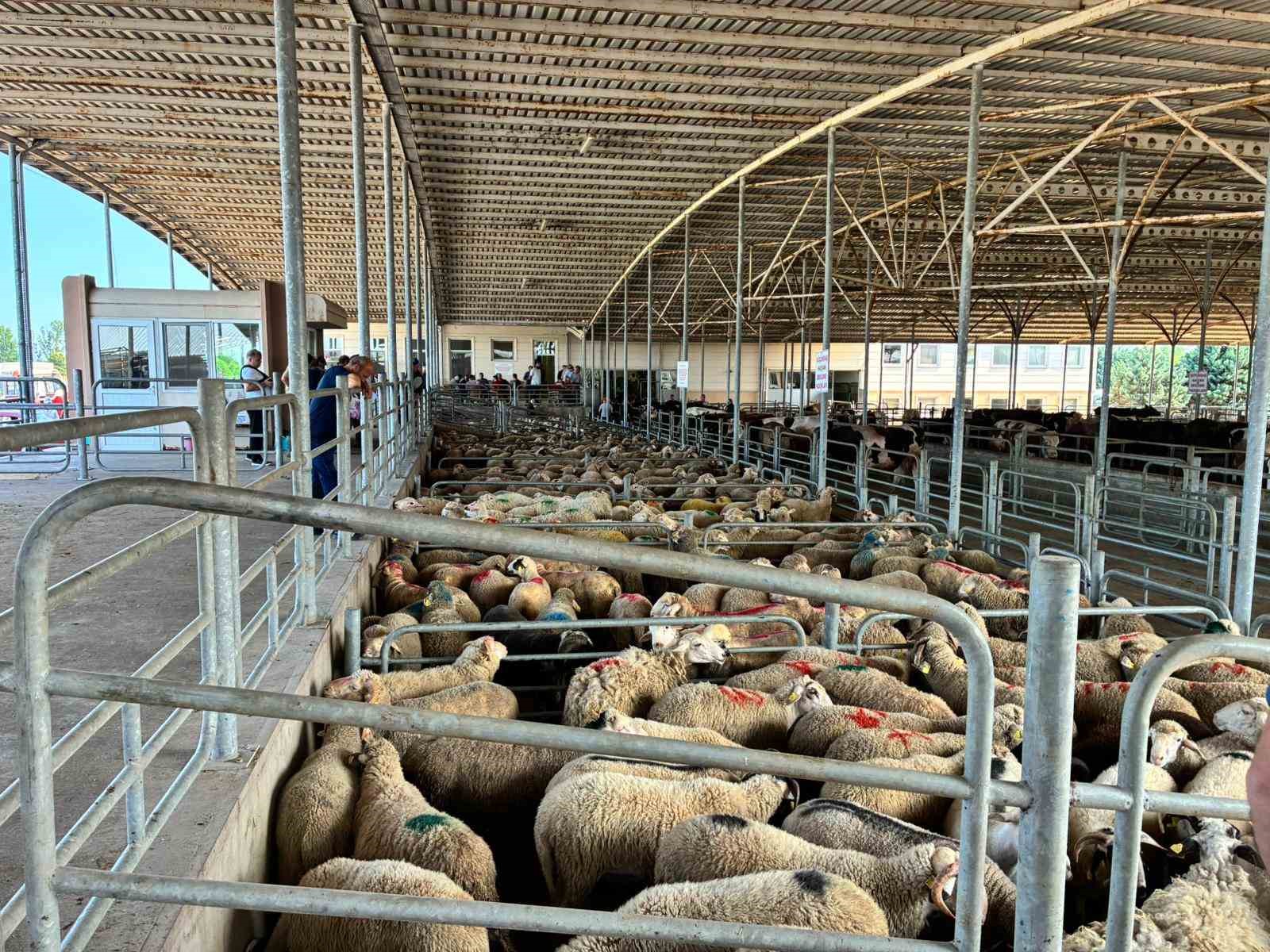 Edirne’de kurban satış alanlarında sıkı denetim
