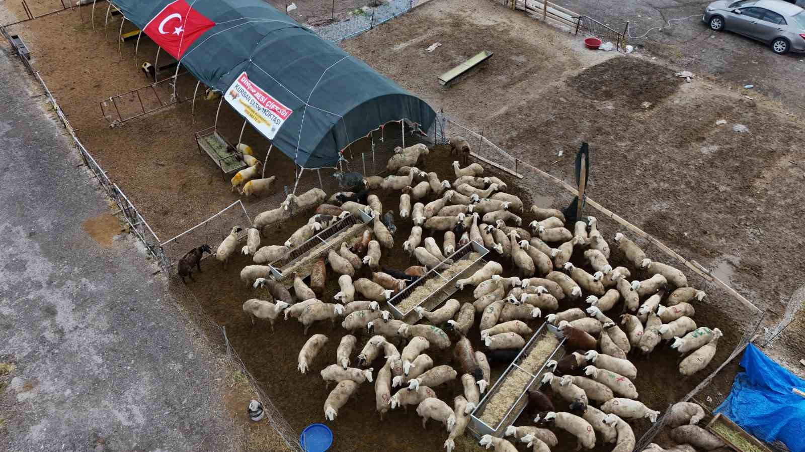 Kayseri&rsquo;de kurban pazarlıklar hareketlendi
