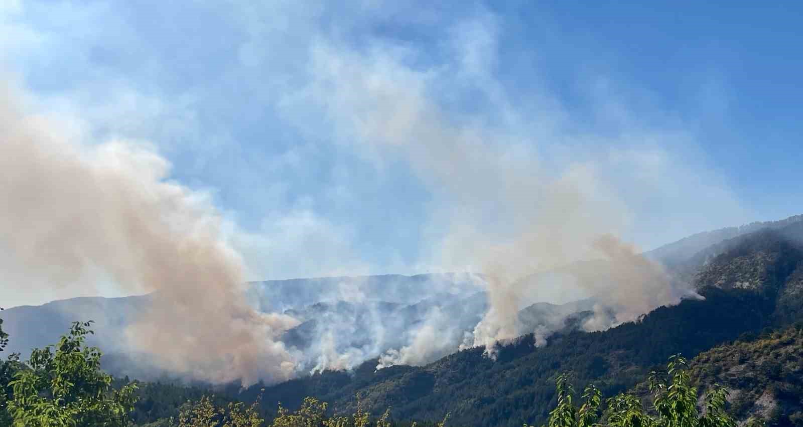 Milletvekili Şahin: "Yanan 88 Hektarlık Orman Alanı Ağaçlandırılıyor"