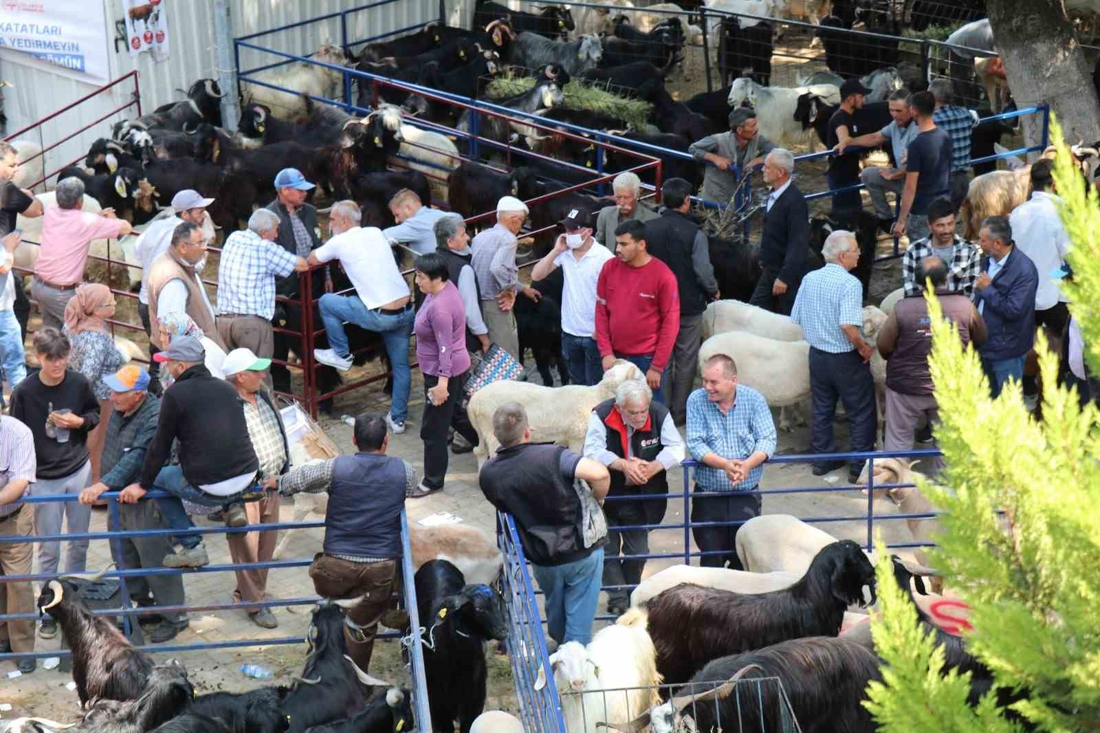 Bozdoğan Belediyesi’nden Kurban Bayramı öncesi satış yeri hizmeti