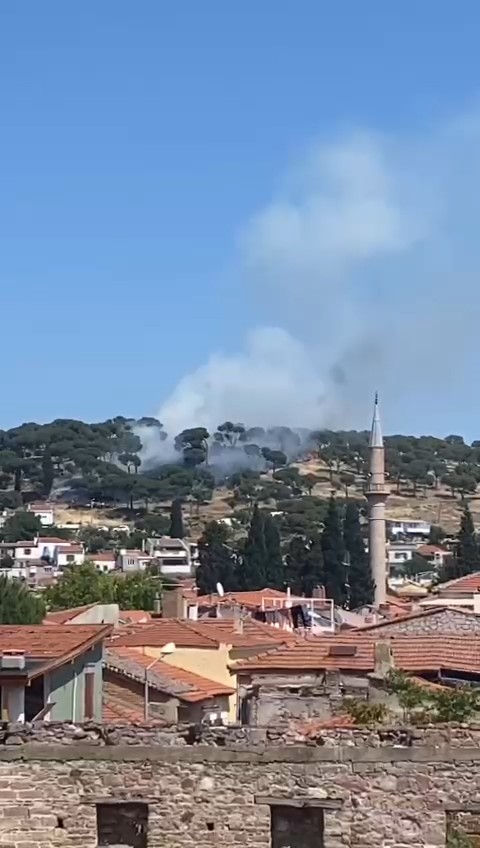Ayvalık&rsquo;ta orman yangını
